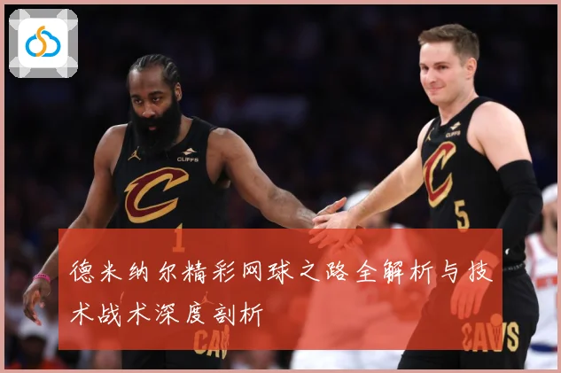 德米纳尔精彩网球之路全解析与技术战术深度剖析